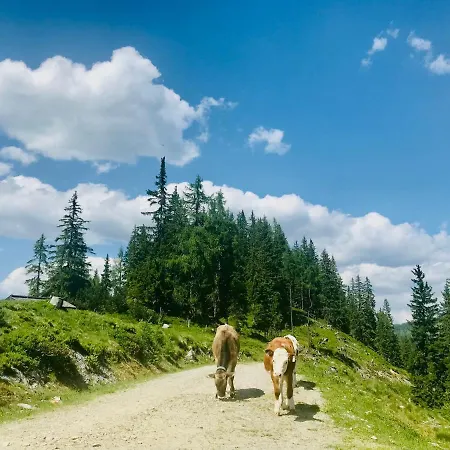 Farmház Nasnergut *