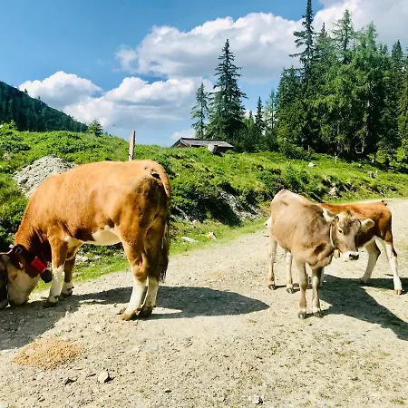 Farmház Nasnergut Radstadt
