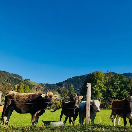 Nasnergut Alojamento de Turismo Rural