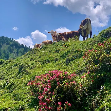Nasnergut Farmház *