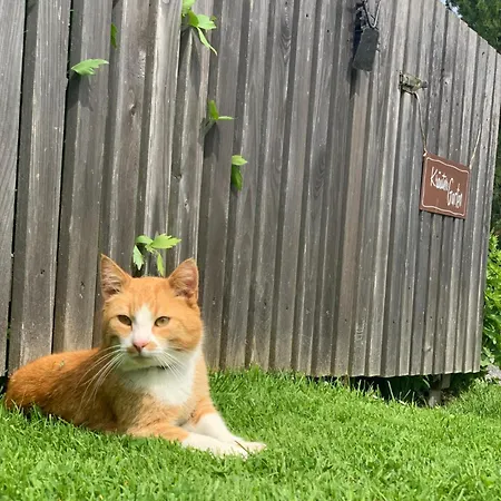 Gospodarstwo agroturystyczne Nasnergut